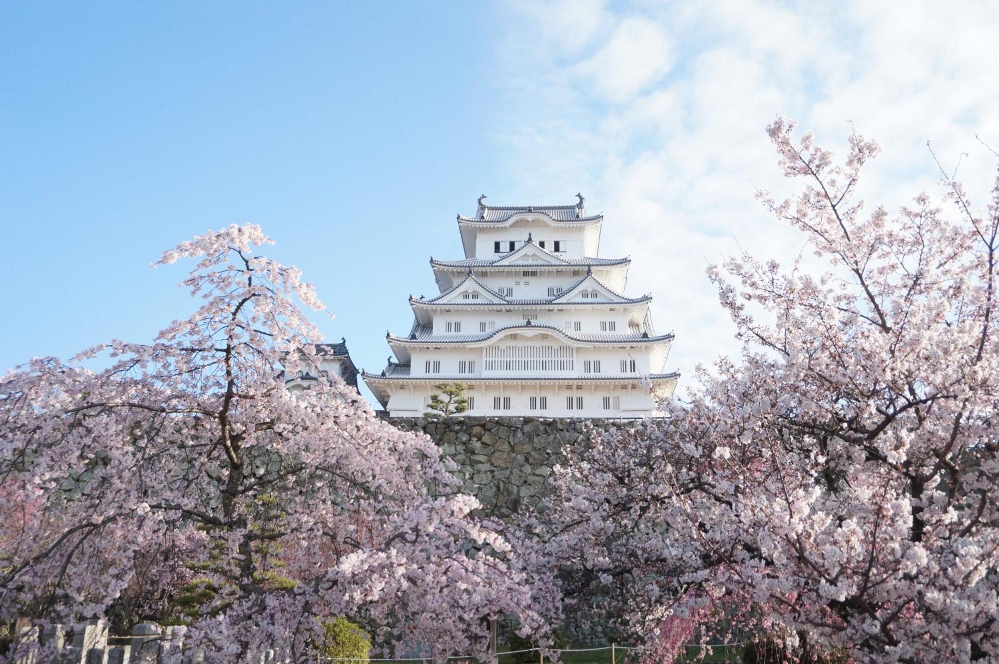 Hotel Monterey Himeji Exteriör bild